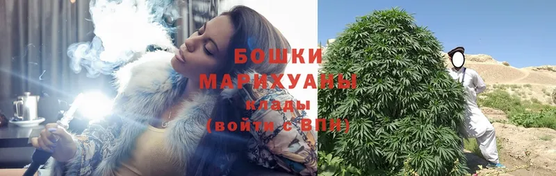 darknet какой сайт  Канаш  Бошки Шишки OG Kush 